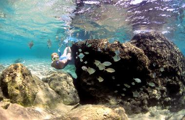 Snorkelling at Thonga